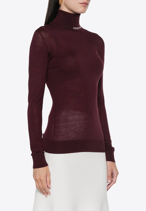 Turtleneck Semi-Sheer Sweater