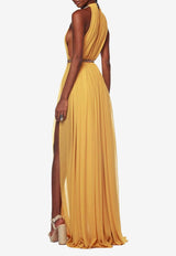 Japera Halterneck Chiffon Gown