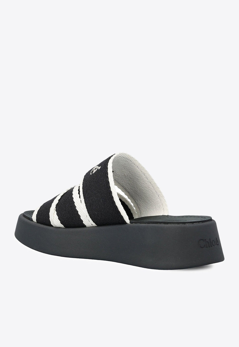 Mila Logo Flatform Slides