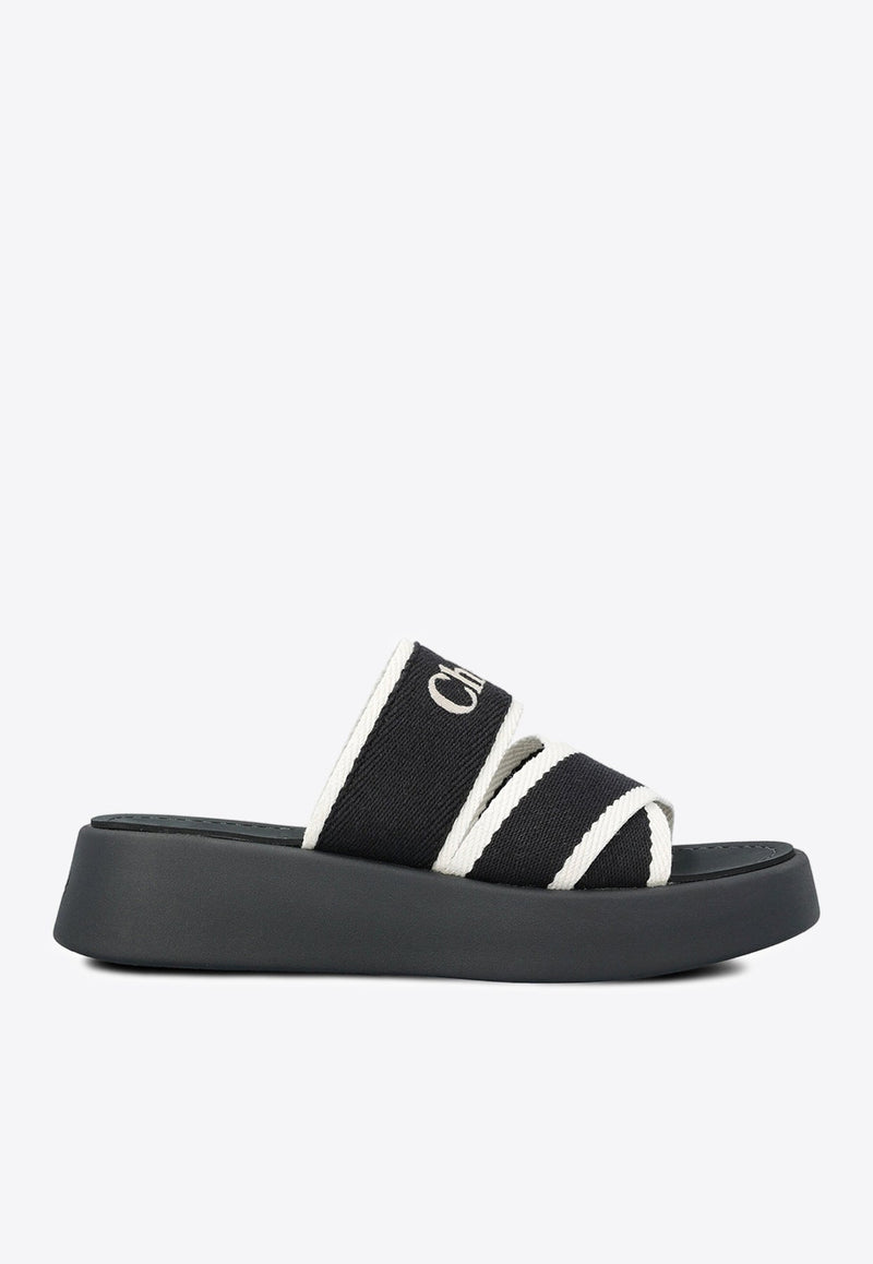 Mila Logo Flatform Slides