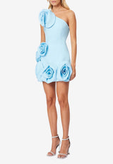 Destiny Floral Applique Mini Dress