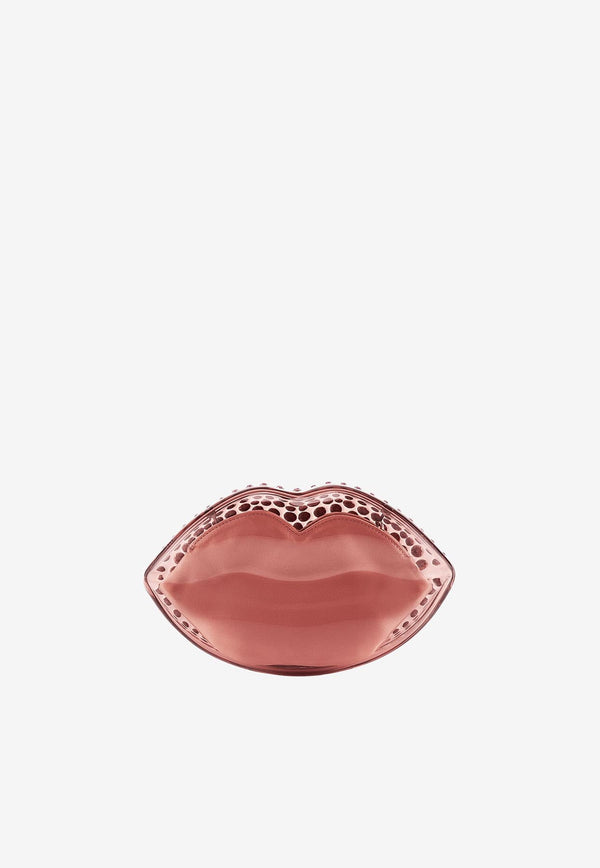 Kiss Me Minaudière Crystal Embellished Clutch