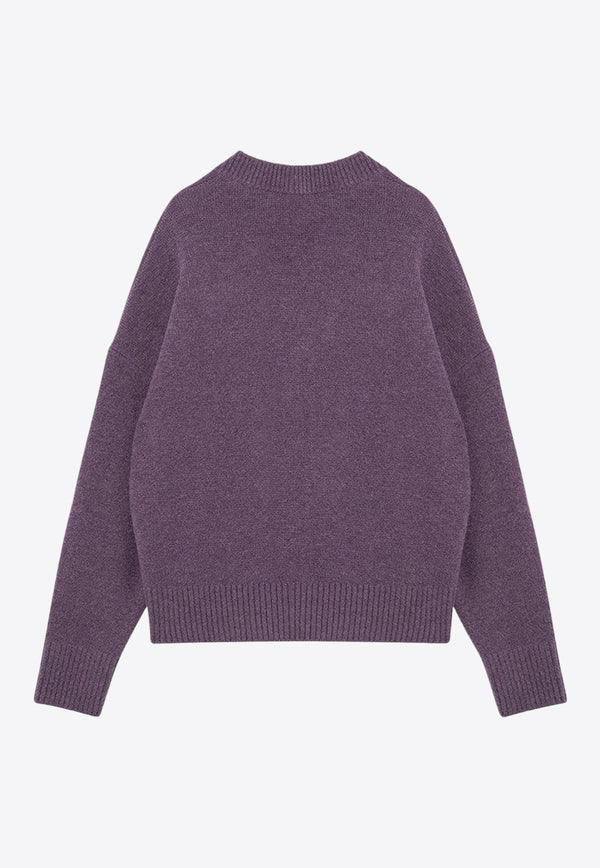 Ami De Coeur Intarsia Knit Turtleneck Sweater