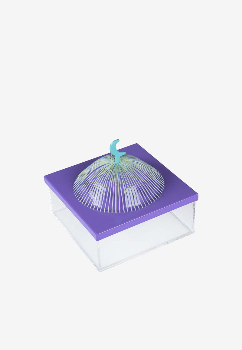 Medium Acrylic Dome Box